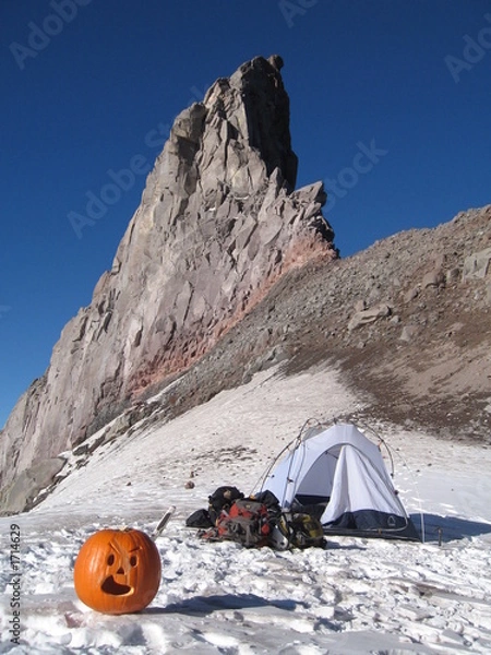 Obraz pumpkin guarding camp