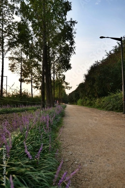 Fototapeta 길거리, 네이처, 경관, 나무, 경로, sky, green, 여름, 목초, 농촌, 국가, 봄, 시골, 공원, 길, 들판, 레인, 거리, 여행, 산책로, 때, 보도, 아웃도어