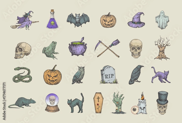 Fototapeta Retro Style Halloween Illustrations Collection. Hand Drawn Witch, Raven, Scull, Cat, Bat, Witch Hat and Tombstone Sketch Symbols or Icons Set. Autumn Season Holiday Emblems Bundle.