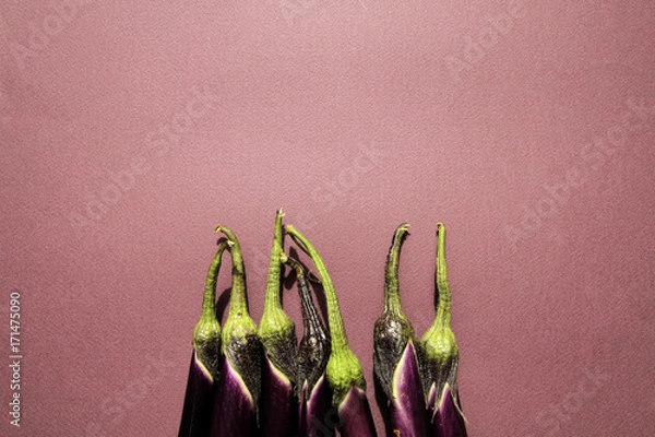 Obraz Eggplant