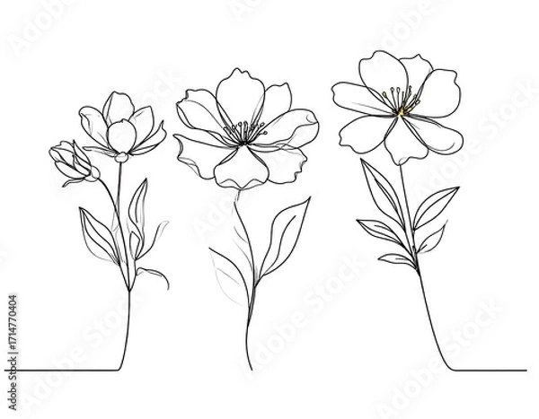 Fototapeta Elegant line art depicts three blossoming flowers in a minimalist style.
