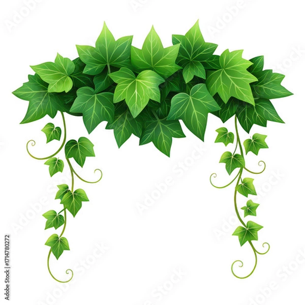 Fototapeta Green ivy archway garland with dangling vines isolated on transparent background