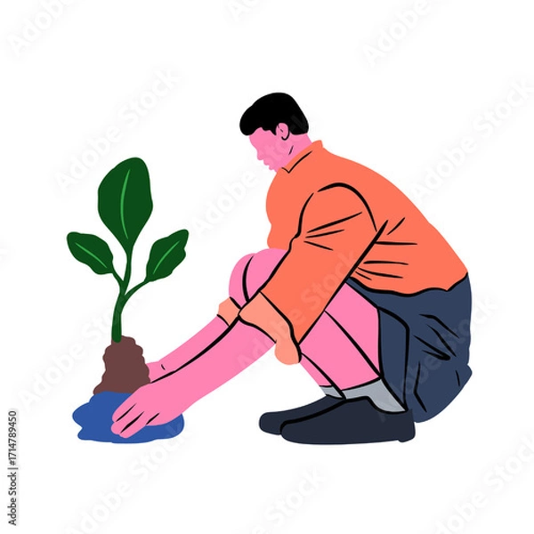 Fototapeta Person Planting Sapling and Covering Roots with Soil Vector Art