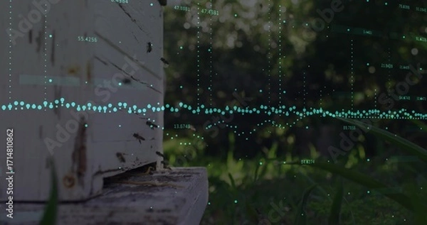 Fototapeta Showing weathered wooden hive box attracting bees in garden, with digital overlay, copy space