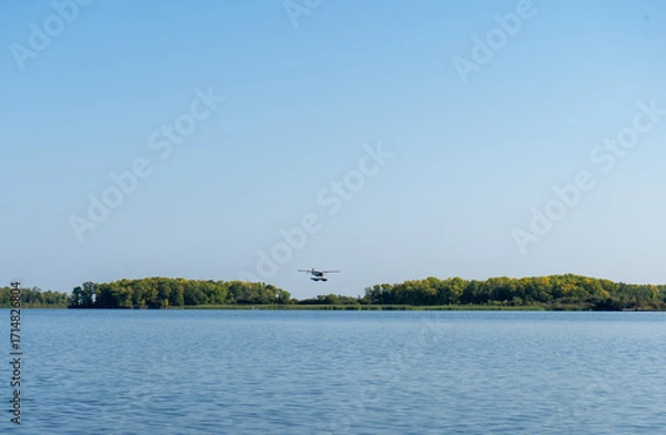 Obraz lake in the forest