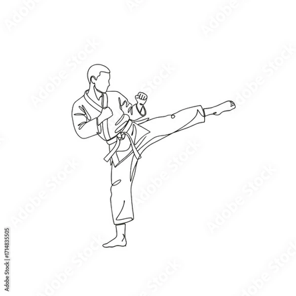 Obraz Martial artist performing a high kick in a karate uniform sketch  