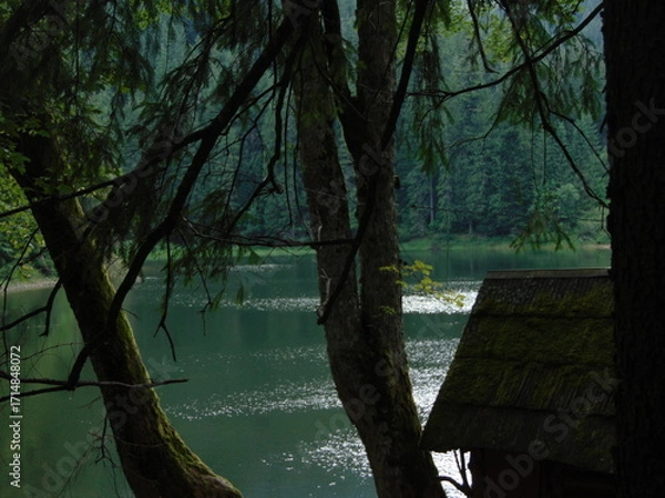 Obraz Peaceful forest lake with calm green waters, sun reflections, and a moss-covered wooden hut. A tranquil scene surrounded by tall trees and untouched natural beauty
