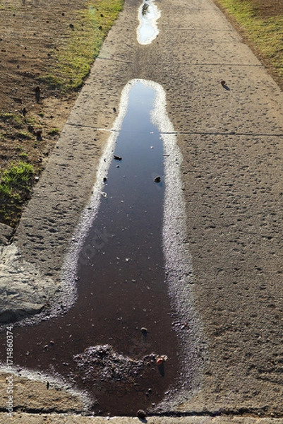 Fototapeta Backlit shot of a wet walkway with puddles after spring rain