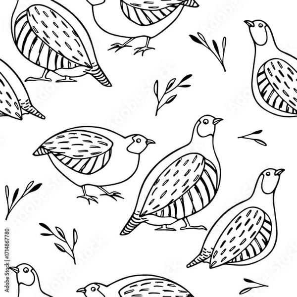Fototapeta Vector seamless pattern with hand drawn cute Grey Partridges with floral elements. Perfect design elements, beautiful illustration, ink drawing