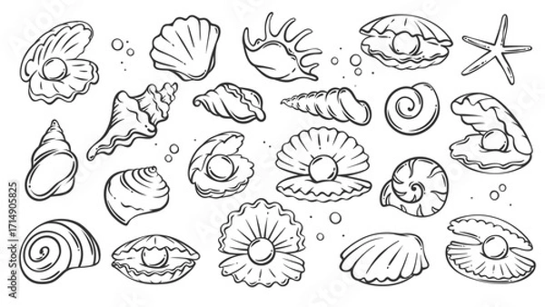 Fototapeta Sea and beach shells line icons set. Outline hand drawn seashells collection with starfish and scallop, oyster with pearl and conch. Nature mascots, aquatic simple shells icons vector illustration