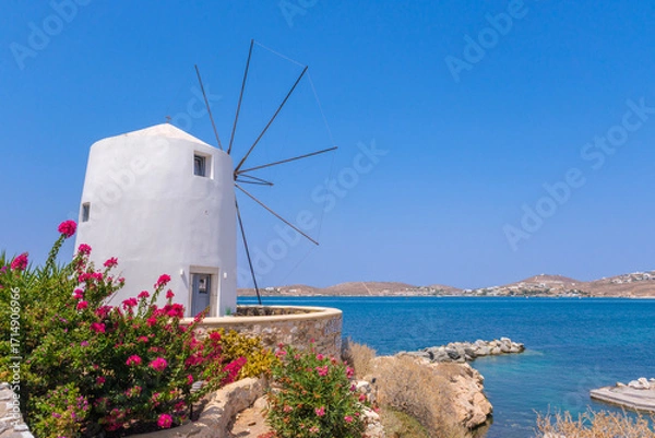 Obraz Traditional windmill with bougainvillea and the Aegean Sea