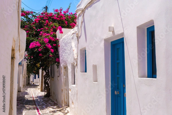 Obraz Parikia street with blooming bougainvillea tree