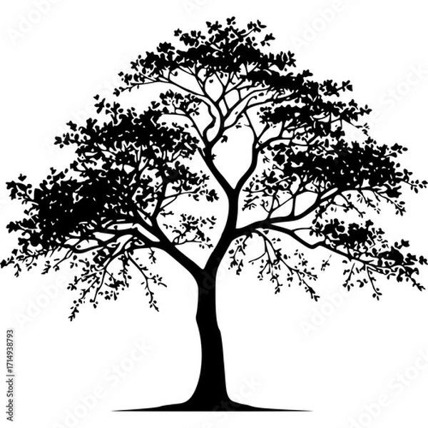 Obraz Download silhouette tree vector graphic nature design illustration art