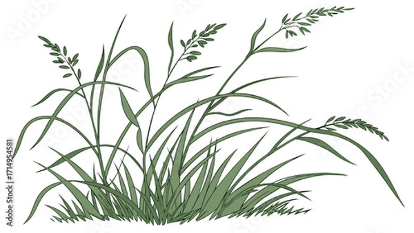 Fototapeta Illustration of green grass field with blades and stems for nature and landscaping design elements