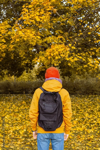 Fototapeta Person In Orange Jacket Looking At Autumn Tree