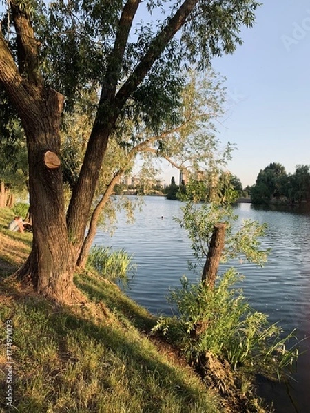 Obraz lake in autumn
