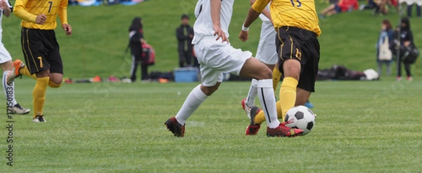 Fototapeta サッカー　フットボール