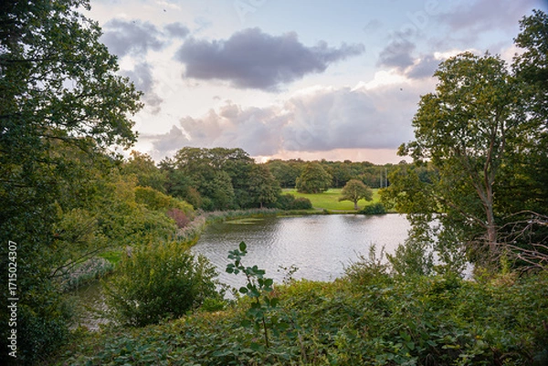 Fototapeta Peaceful view of small lake Waterpartij in The Hague, Netherlands, through green trees with calm water and open sky
