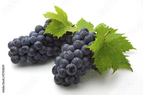 Obraz winogrono