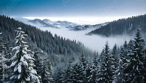Obraz Expansive winter landscape view from above, showing vast snow-covered evergreen forests on mountain slopes with a tranquil mist filling the valleys below, under a soft, cloudy sky