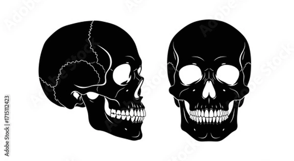 Fototapeta Striking black skull illustrations in profile and frontal views for impactful design projects and thematic presentations