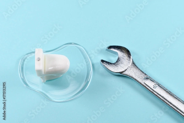 Obraz トイレのミニチュアと工具で修理のイメージ