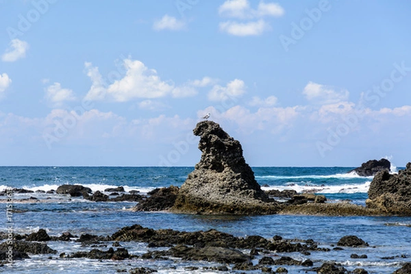 Obraz ゴジラ岩　能登　カモメ

