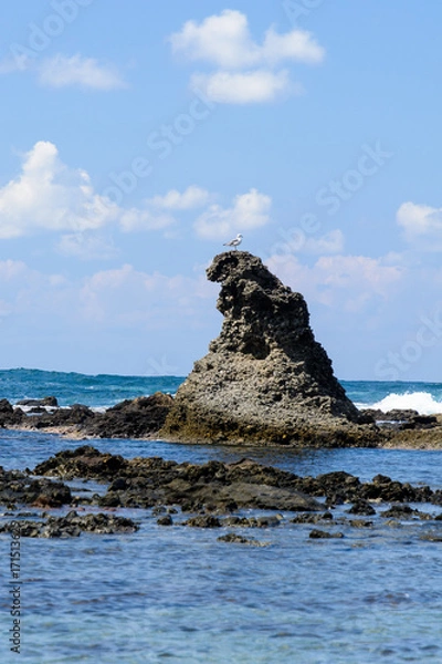 Obraz ゴジラ岩　能登　カモメ

