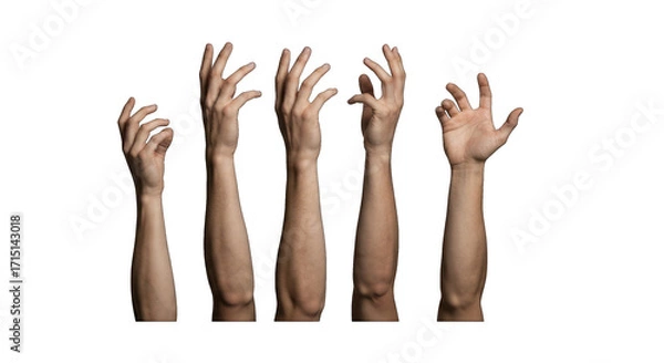 Fototapeta Five outstretched human arms and hands reaching upwards against a black background.  Each hand is in