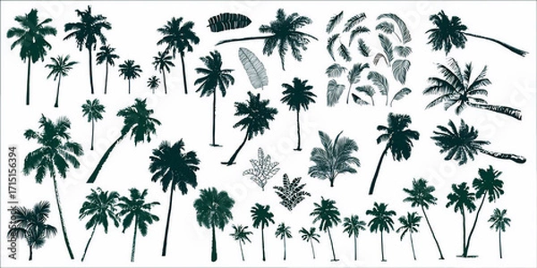 Fototapeta A Diverse Collection of Stylized Palm Tree Illustrations and Tropical Leaf Silhouettes Offering Numerous Design Elements for Tropical Themed Projects	