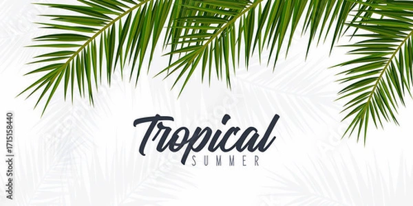 Fototapeta Experience the vibrant essence of a lush tropical summer with exotic palm fronds gracing a clean white backdrop	