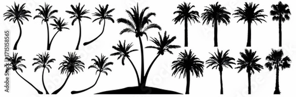 Fototapeta Collection of Silhouetted Palm Trees and Tropical Foliage for Design Elements and Vector Graphics Representation of Coastal Landscapes and Island Scenery	