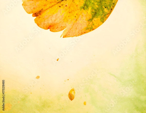 Fototapeta Silhouette of a Falling Petal Framed in Dusty Soft Light