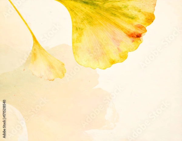 Fototapeta Delicate Silhouette of a Falling Petal Framed in Soft Dusty Light