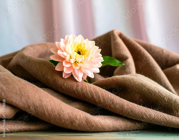 Fototapeta Soft Woolen Scarf with Gathered Folds and Blooming Flower Accent