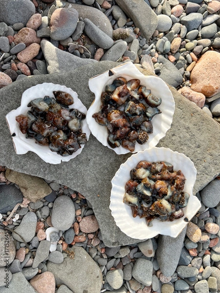 Fototapeta Raw sea cucumber in soy sauce and wasabi marinade served on scallop shells 