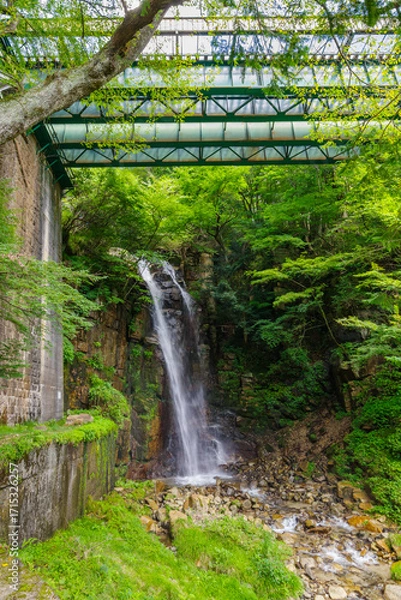 Obraz 小野の滝（長野県木曽郡上松町）