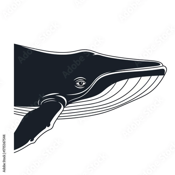 Obraz Stylized graphic illustration of a majestic whale head in profile, isolated on a white background