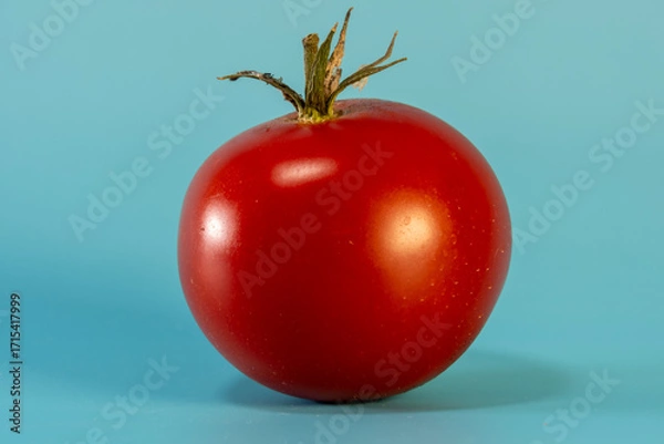 Obraz tomato on a blue background