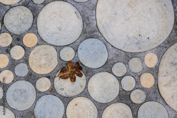 Fototapeta 2023-12-31 VARIOUS CIRCLES IN DIFFERENT SIZES IN LAID IN CONCRETE WITH ROUGH SURFACES AND ONE LEAF
