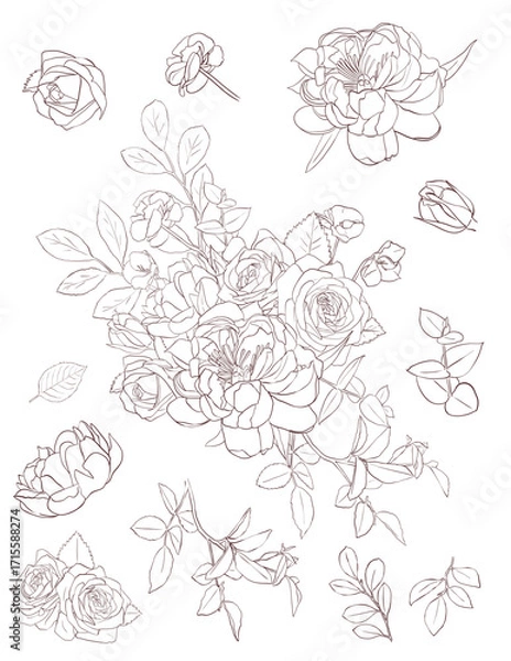 Fototapeta Flowers arrangement vector