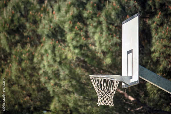 Obraz outdoor basketball with copy space, profile of the object with green nature background