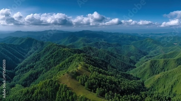 Fototapeta Aerial View of Lush Green Mountains Under Bright Blue Sky with Fluffy White Clouds
