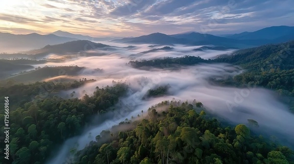 Fototapeta Aerial View of Lush Green Forests Shrouded in Mist Under a Golden Sunrise