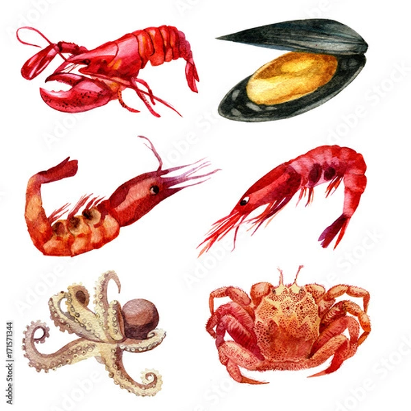 Obraz Watercolor illustration. Set of seafood. Shrimp, mussel, cancer, lobster, squid