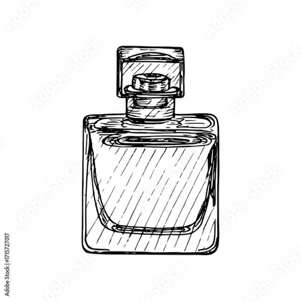 Obraz Perfume bottle - sketch illustration. Drawing in engraving style. Hand-drawn vector outline line art clipart, isolated