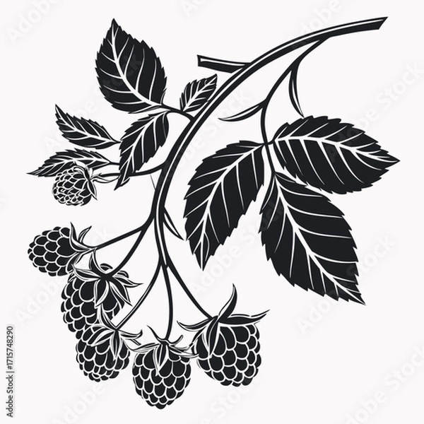 Obraz branch of a tree