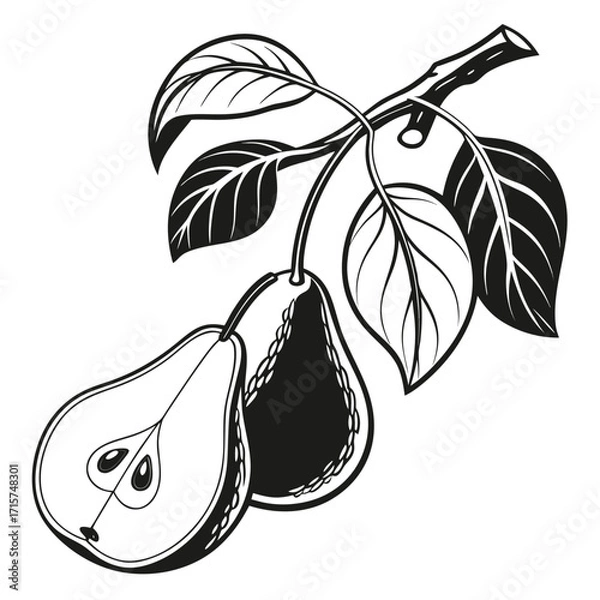 Obraz pear with leaf