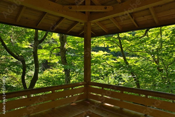 Obraz 昇仙峡の東屋