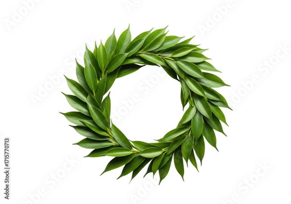 Obraz A vibrant green laurel wreath forming the shape of the letter o isolated on transparent background